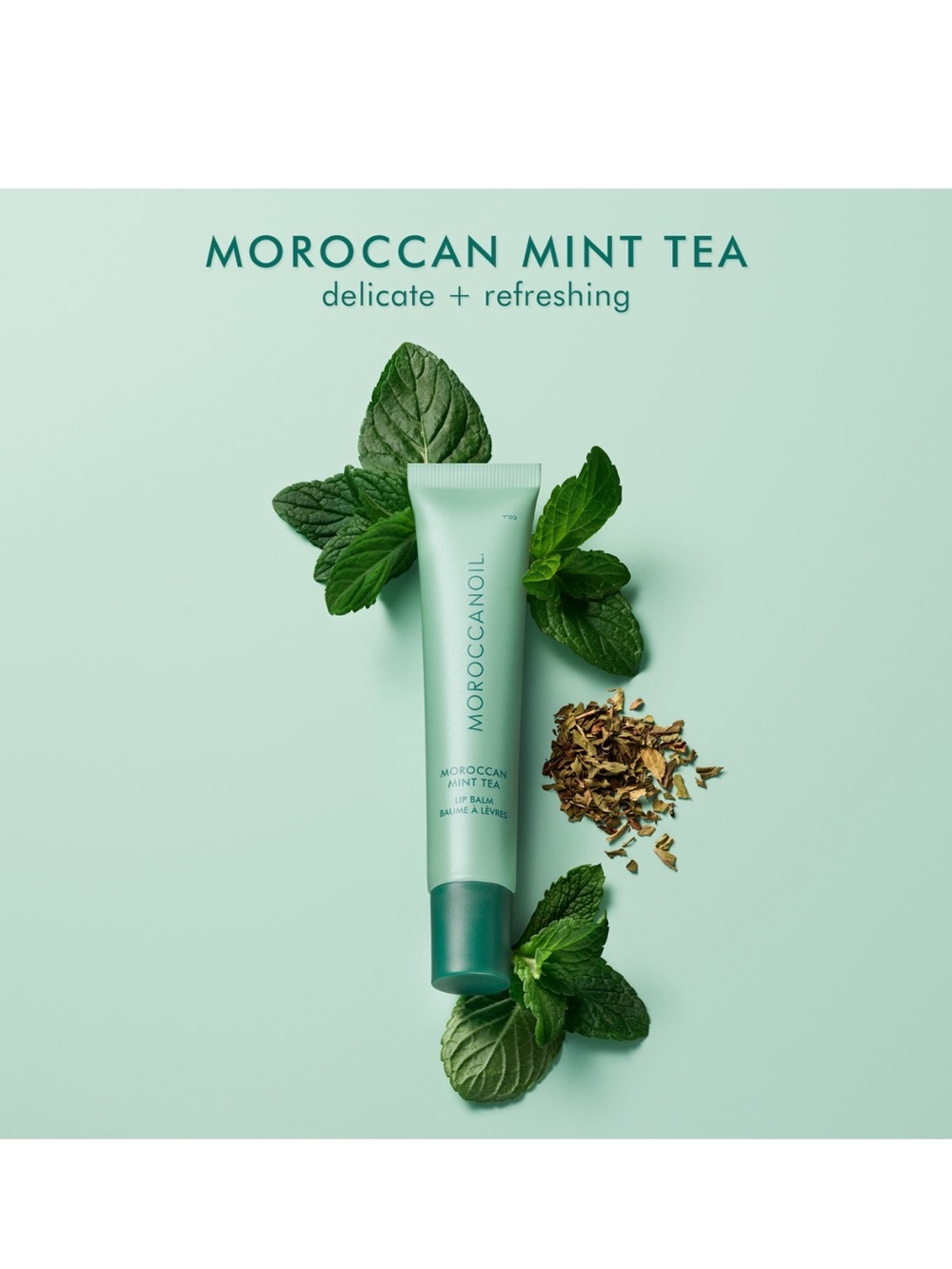 Moroccanoil Moroccan Mint Tea Lip Balm - Picture 5 of 6